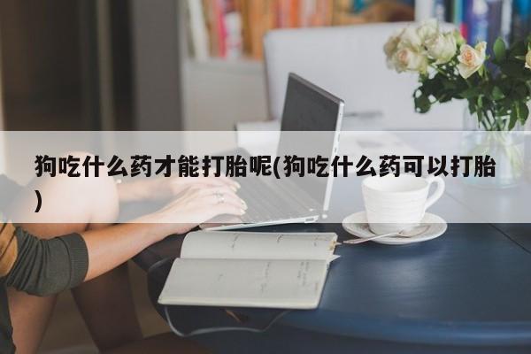 堕胎药使用狗吃什么药才能打胎呢(狗吃什么药可以打胎)