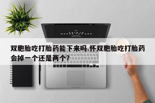 堕胎药使用双胞胎吃打胎药能下来吗.怀双胞胎吃打胎药会掉一个还是两个？