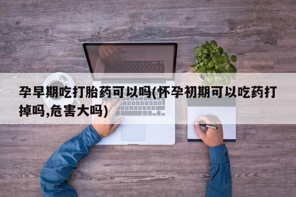 堕胎药使用孕早期吃打胎药可以吗(怀孕初期可以吃药打掉吗,危害大吗)