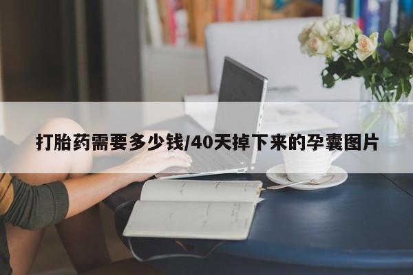 堕胎药使用打胎药需要多少钱/40天掉下来的孕囊图片