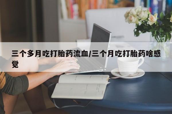 admin 第600页
